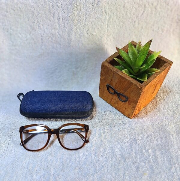 Bifocal Photochromic Glasses