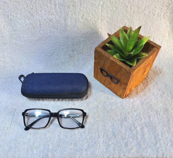 Bifocal Photochromic Glasses