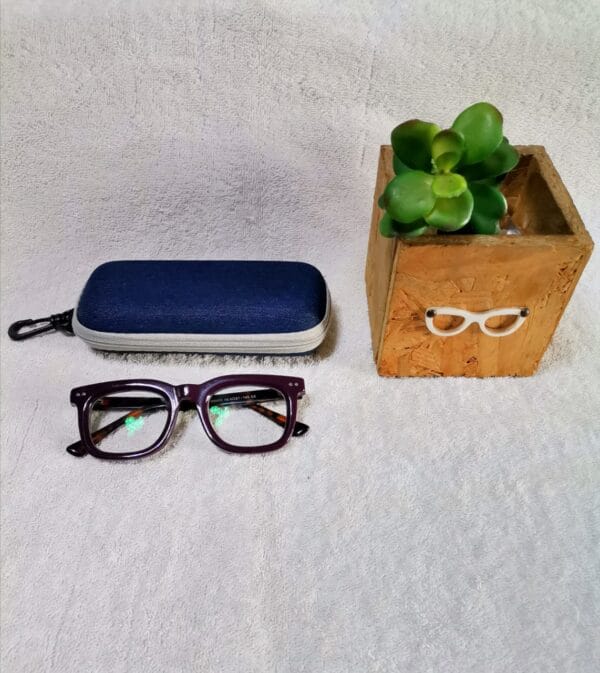Bifocal Photochromic Readers