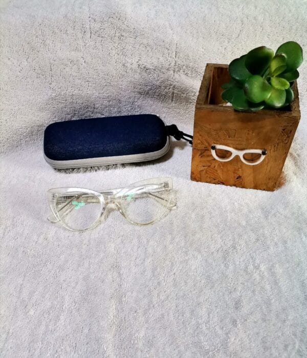Bifocal Photochromic Readers