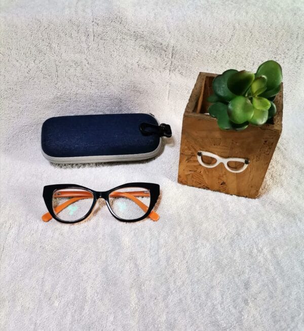 Bifocal Photochromic Readers