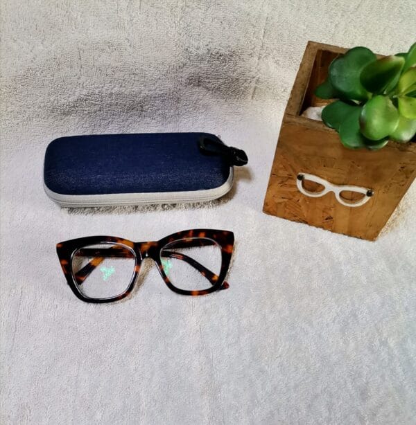 Bifocal Photochromic Readers