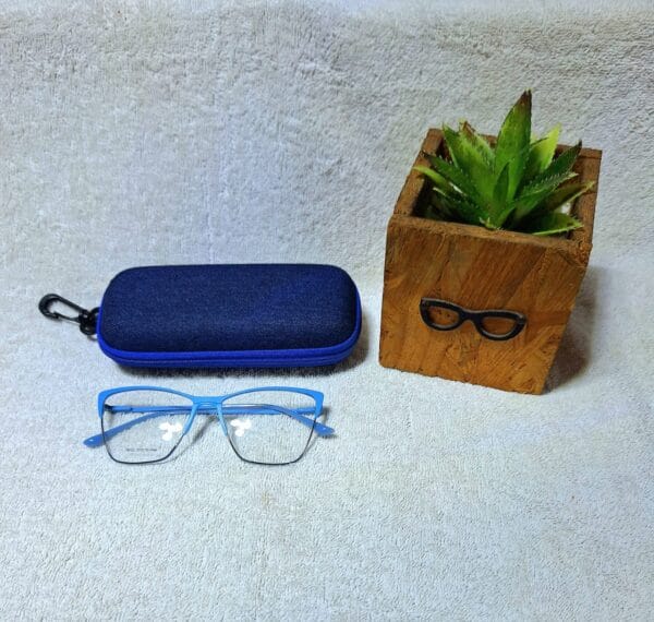Fashion glasses