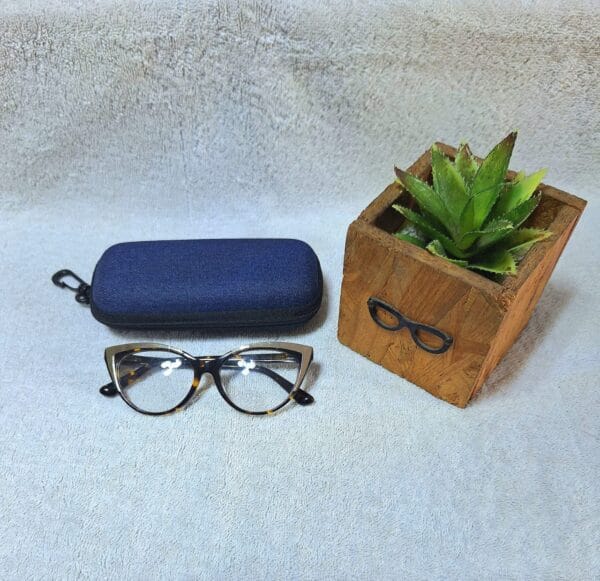 Fashion glasses