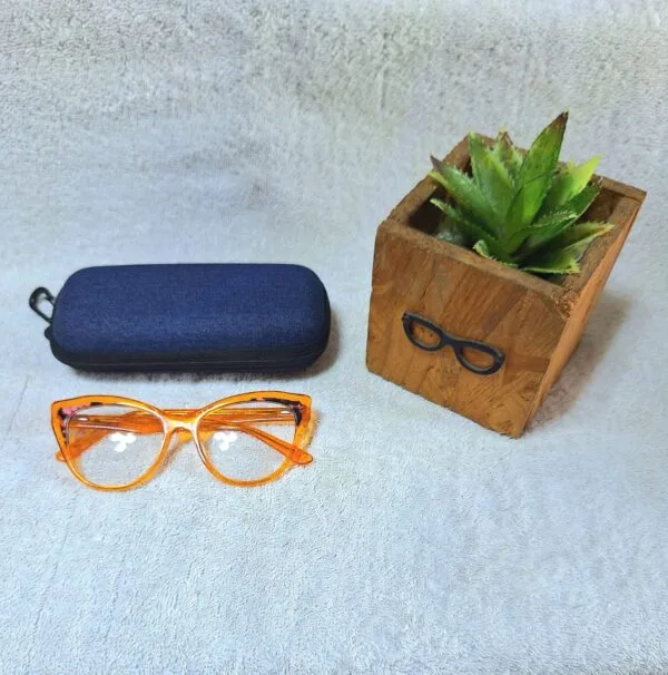 Fashion glasses