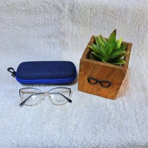 Fashion glasses