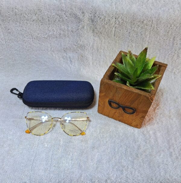 Fashion glasses