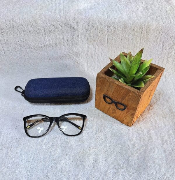 Fashion glasses
