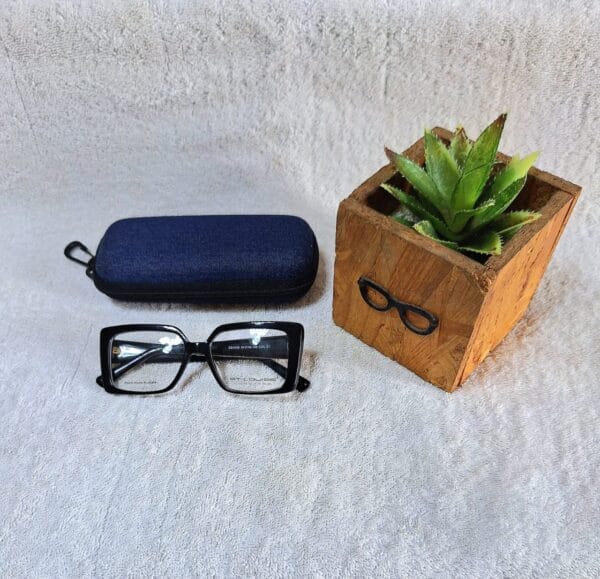 Fashion glasses