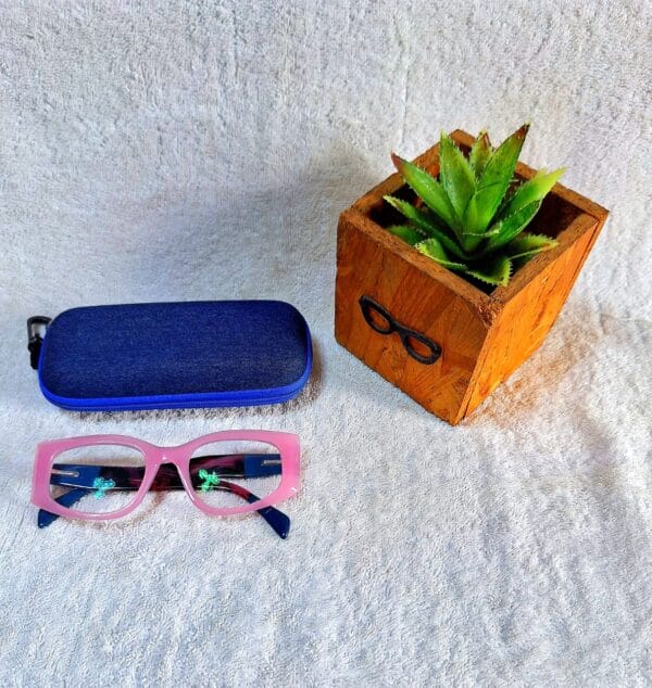 Bifocal Photochromic Glasses