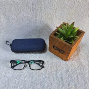 Bifocal Photochromic Glasses
