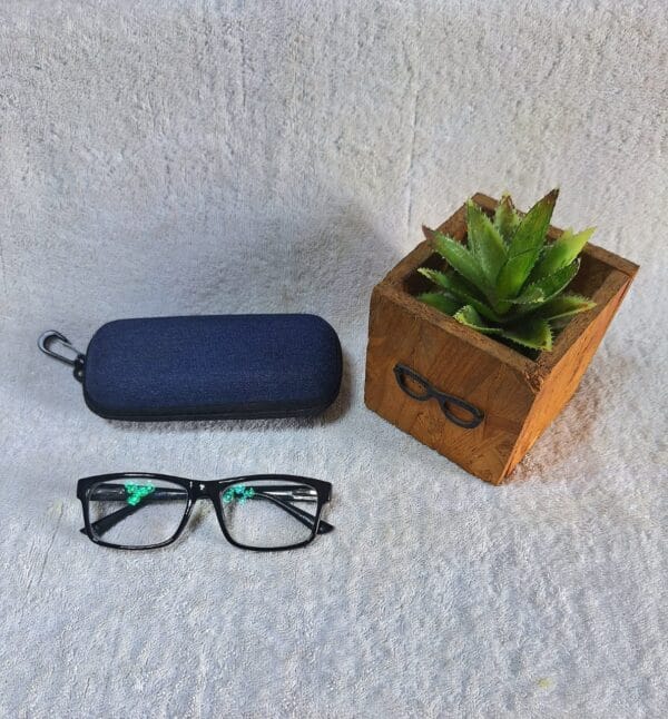 Bifocal Photochromic Glasses