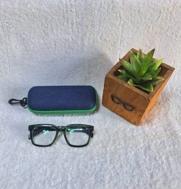 Bifocal Photochromic Glasses