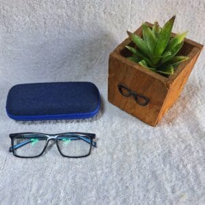 Bifocal Photochromic Glasses