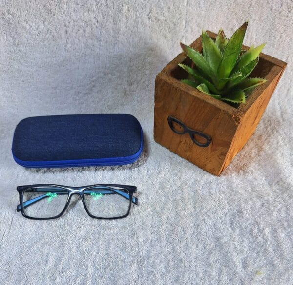 Bifocal Photochromic Glasses