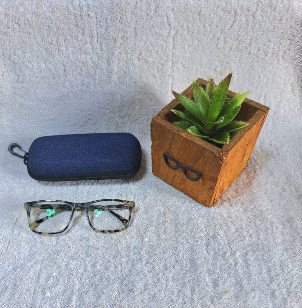 Bifocal Photochromic Glasses