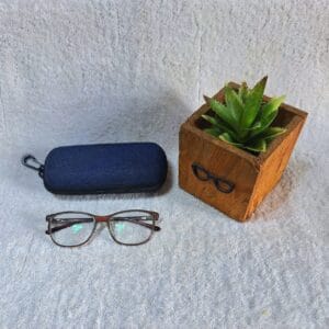 Bifocal Photochromic Glasses