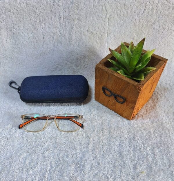Bifocal Photochromic Glasses