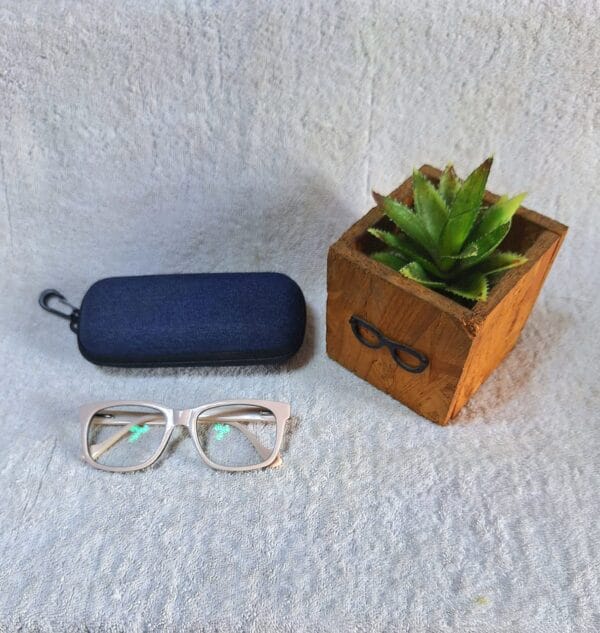 Bifocal Photochromic Glasses