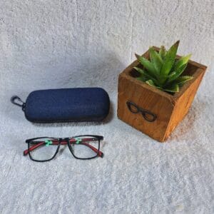 Bifocal Photochromic Glasses