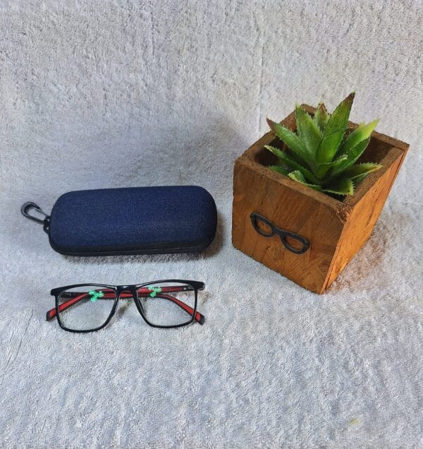 Bifocal Photochromic Glasses