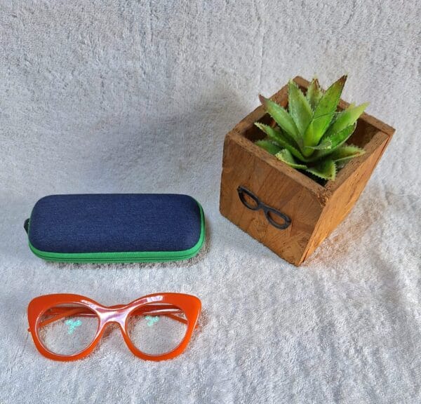 Bifocal Photochromic Glasses