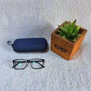 Bifocal Photochromic Glasses