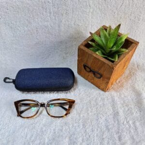 Bifocal Photochromic Glasses