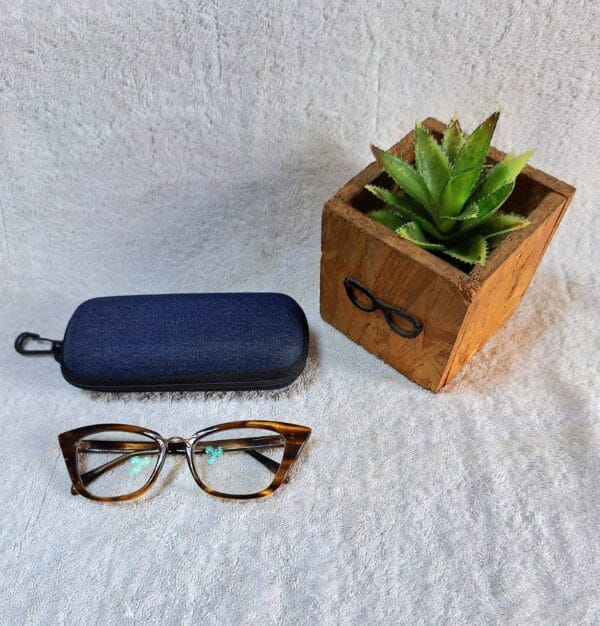 Bifocal Photochromic Glasses