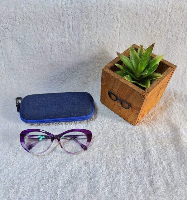 Bifocal Photochromic Glasses