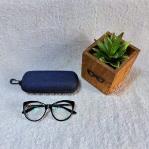 Bifocal Photochromic Glasses