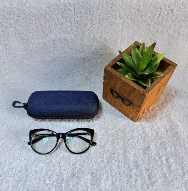 Bifocal Photochromic Glasses