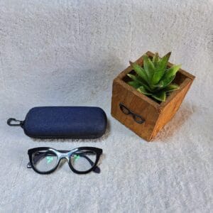 Bifocal Photochromic Glasses