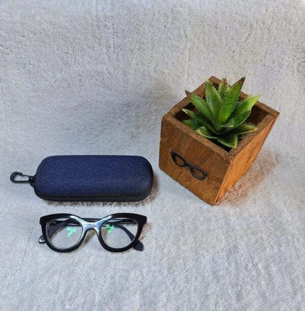 Bifocal Photochromic Glasses