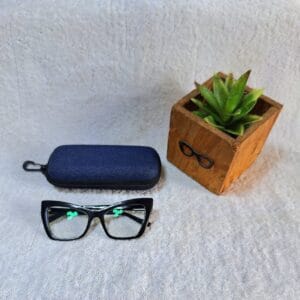 Bifocal Photochromic Glasses
