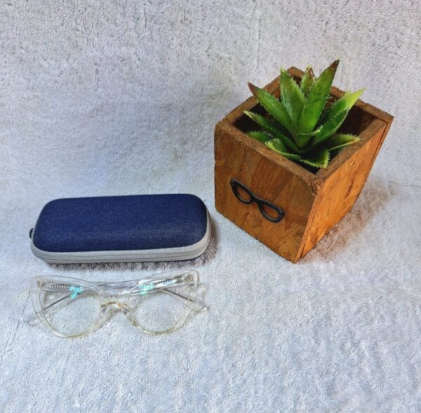 Bifocal Photochromic Glasses