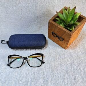 Bifocal Photochromic Glasses