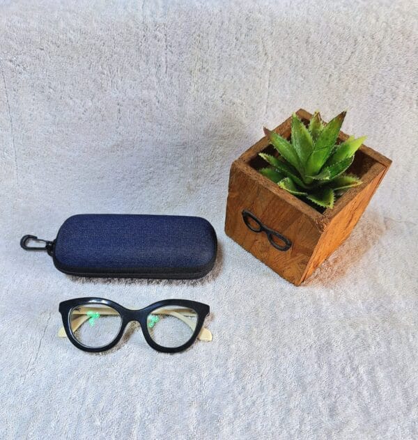 Bifocal Photochromic Glasses