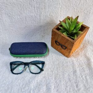 Bifocal Photochromic Glasses