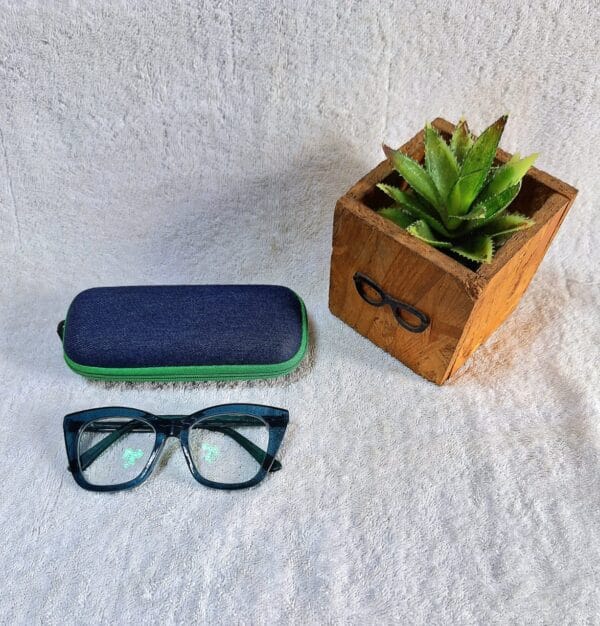 Bifocal Photochromic Glasses