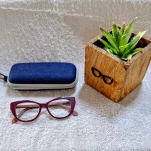 Bifocal Photochromic Glasses