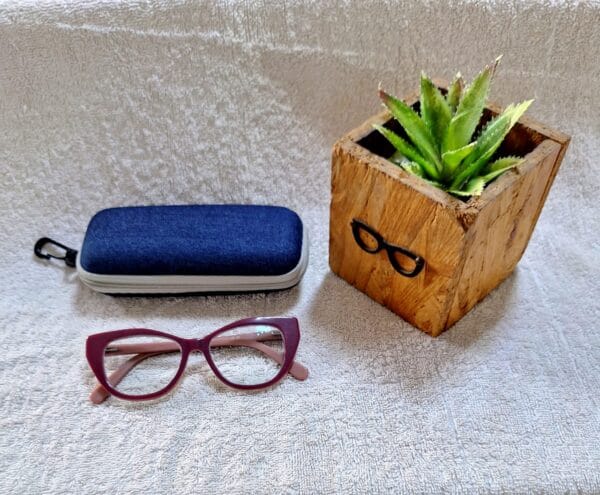 Bifocal Photochromic Glasses