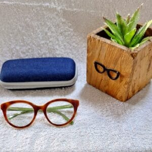 Bifocal Photochromic Glasses