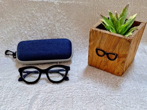 Bifocal Photochromic Glasses