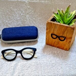 Bifocal Photochromic Glasses