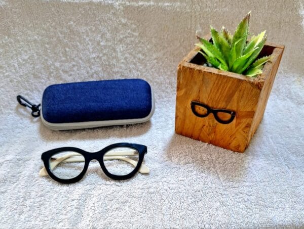 Bifocal Photochromic Glasses