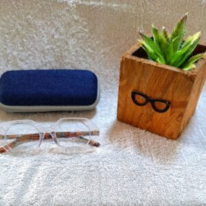 Bifocal Photochromic Glasses