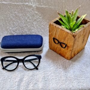 Bifocal Photochromic Glasses
