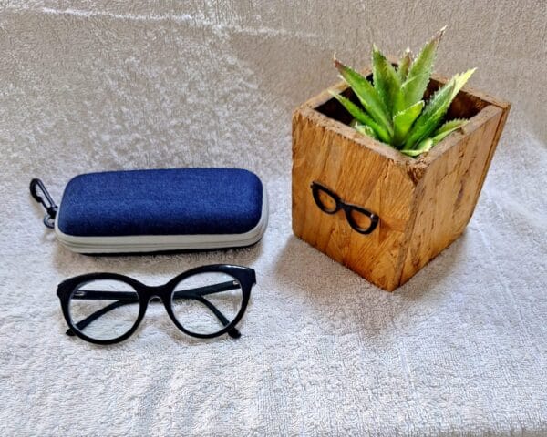 Bifocal Photochromic Glasses