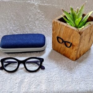 Bifocal Photochromic Glasses
